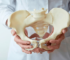 fisio-pelvica1-318c03bcf24736ff7a16902887242258-1024-1024