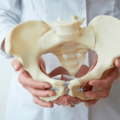 fisio-pelvica1-318c03bcf24736ff7a16902887242258-1024-1024